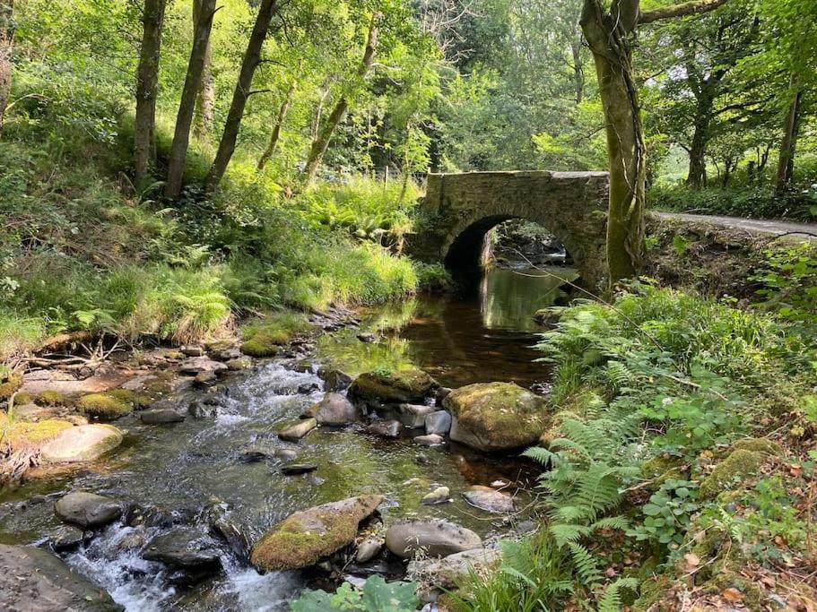 Bear Cottage, Tyn Y Cwm Eglwys-Fach 외부 사진