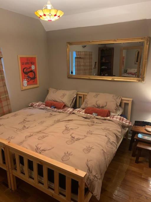 Bear Cottage, Tyn Y Cwm Eglwys-Fach 외부 사진