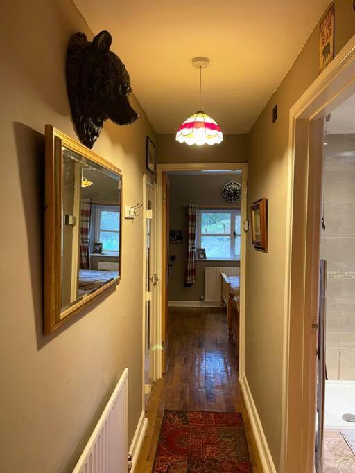Bear Cottage, Tyn Y Cwm Eglwys-Fach 외부 사진